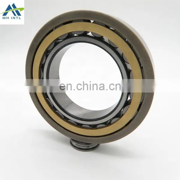 NU 320 ECM/C3VL0241 Cylindrical Roller Insulated Bearing photo-2