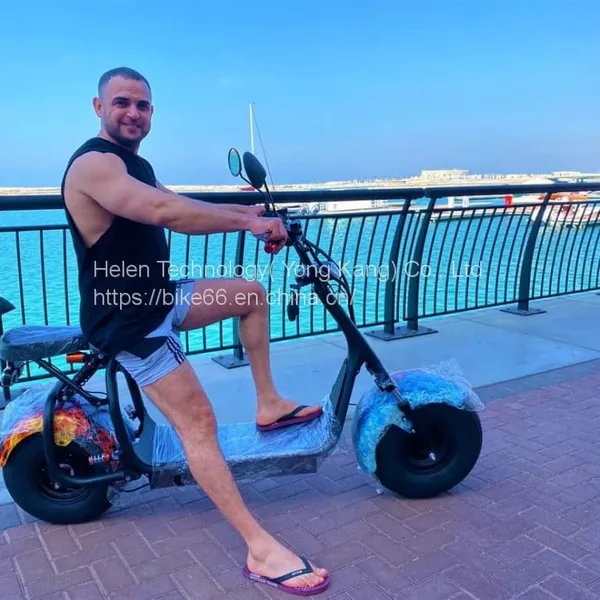 Factory EEC/Coc Electric Mobility Bike Scooter Folding Motor Electric Scooter photo-2