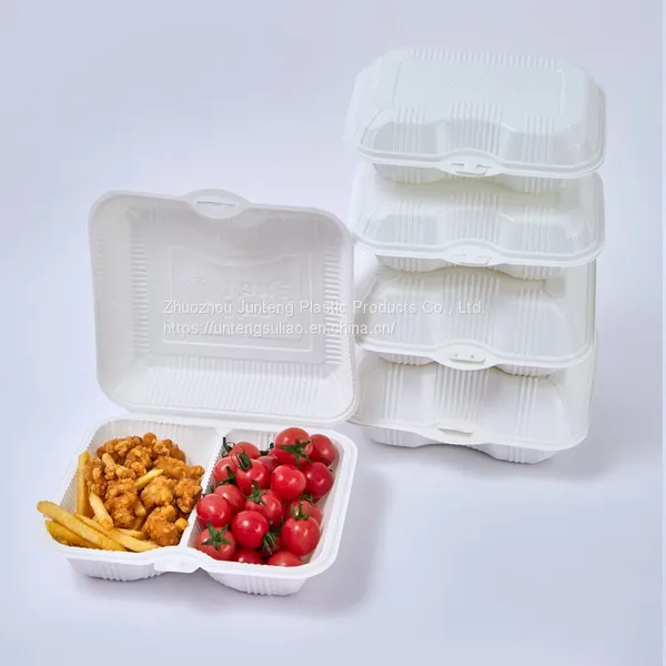 Customize PP Hinged Packaging Tray Clamshell Blister Food Container Togo 2 Compartment Fast Food Lunch Food Box photo-3
