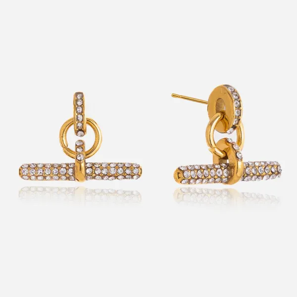 Hypoallergenic Stainless Steel Fashion Earrings for Sensitive Skin photo-3
