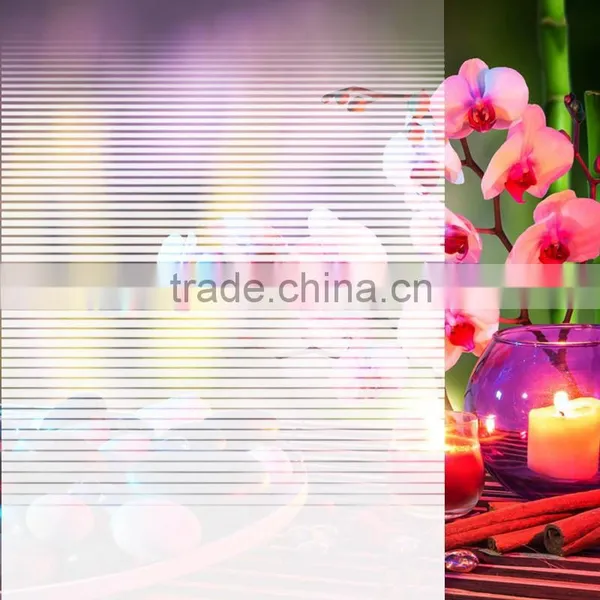 White Stripe Translucent Infrared Rejection PET Film photo-6