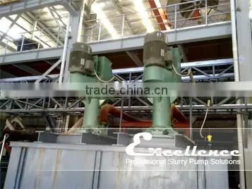 Made in China High Quality Mining Vertical Pump photo-5