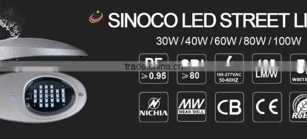Easy Installation Chinese IP65 Nichia Street Lamp 100w 80w 60w 40w 30w photo-2
