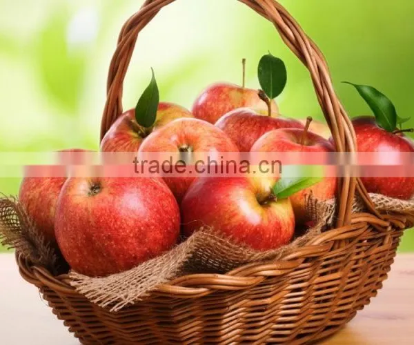 Professional Handmade Flowers Basket for Gift With Good Quality photo-5