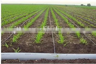 Drip Irrigation Pipe photo-2