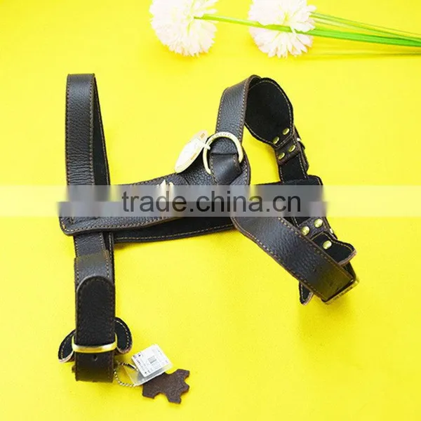 Economic professional multifunctional dog harness vest
