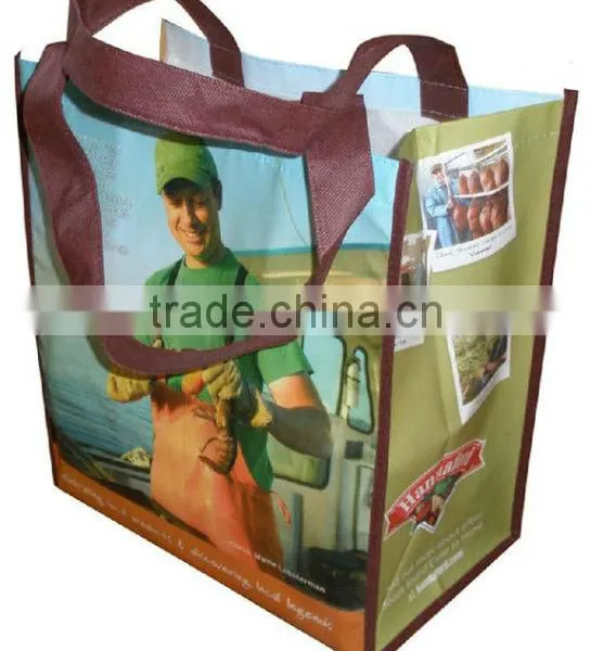 Wholesale Reuseable Shopping Bags PP Woven Bag Laminated Matt Finish With Webbing Handle