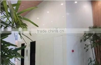 Decorative White Painted Glass/lacquered Glass Hot Sale photo-2