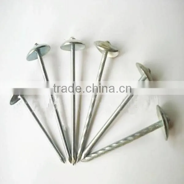 EG Roofing Nails