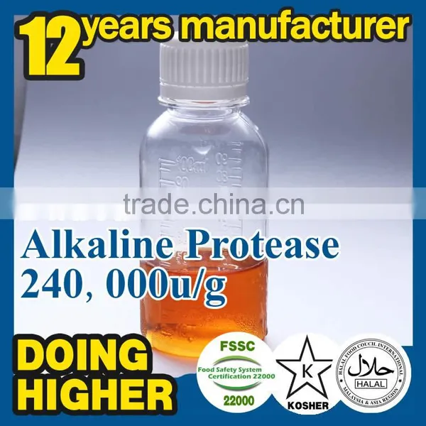 Alkaline Protease Apply to Membrane Washing Detergent Protease Alkaline Enzyme Washing Alkaline Enzyme photo-5