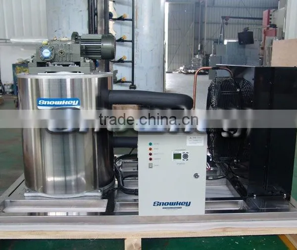 Flake Ice Maker