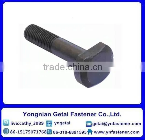 T Shape Bolts for Slot, DIN933/931 H.D.G / Galvanized With Black /yellow Zinc Plated/blue White photo-6