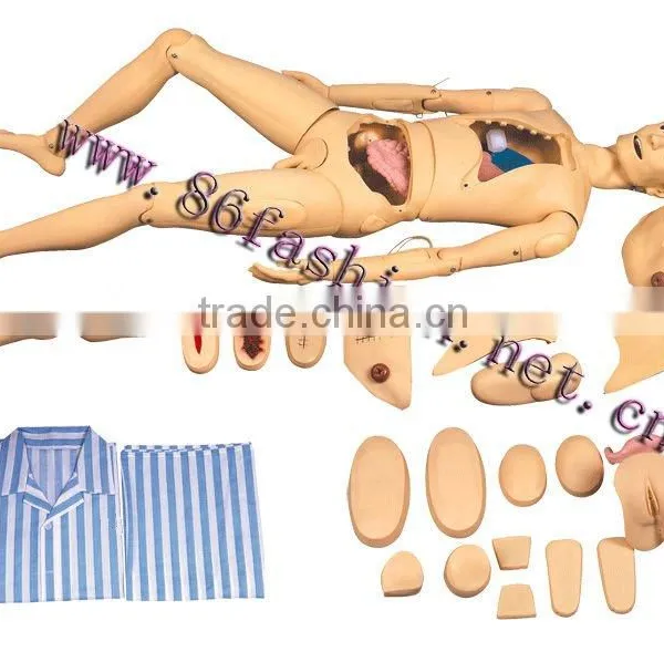 anatomical models,train model,skeleton model,manikin