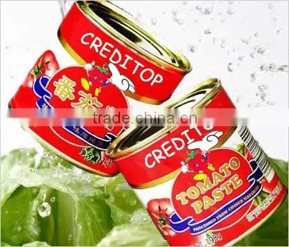 3KG High Quality Manufactory China Factory Canned Tomato Paste photo-2