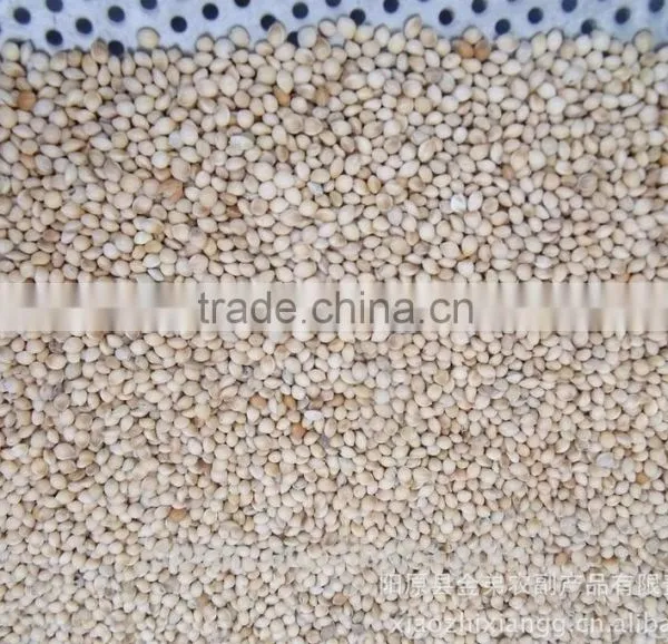 High Quality White Broomcorn Millet (glutinous Broom Corn/proso Millet) photo-3