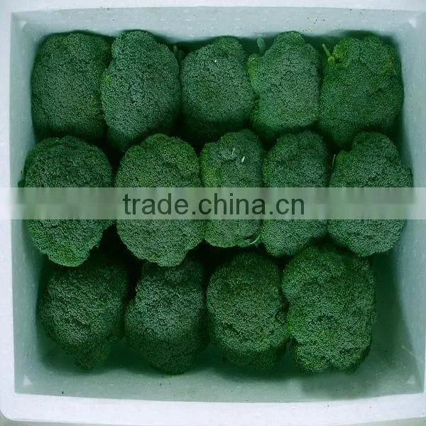 Green Broccoli From China photo-2
