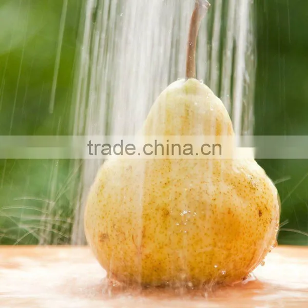 5kg ya Pear