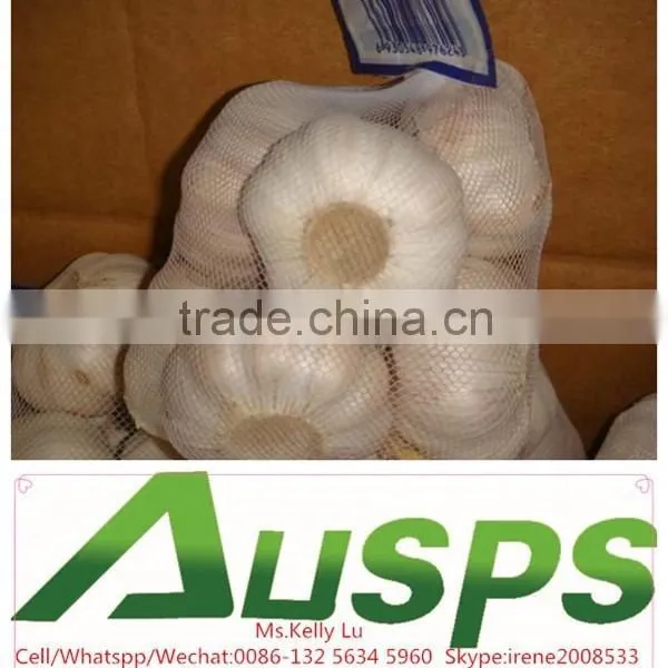 China Farm Fresh Garlic photo-3