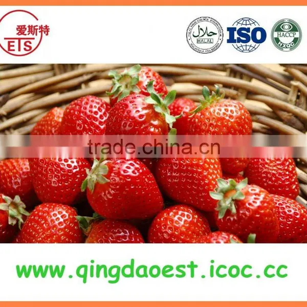 New Crop Best Quality Fresh Whole Strawberry photo-2