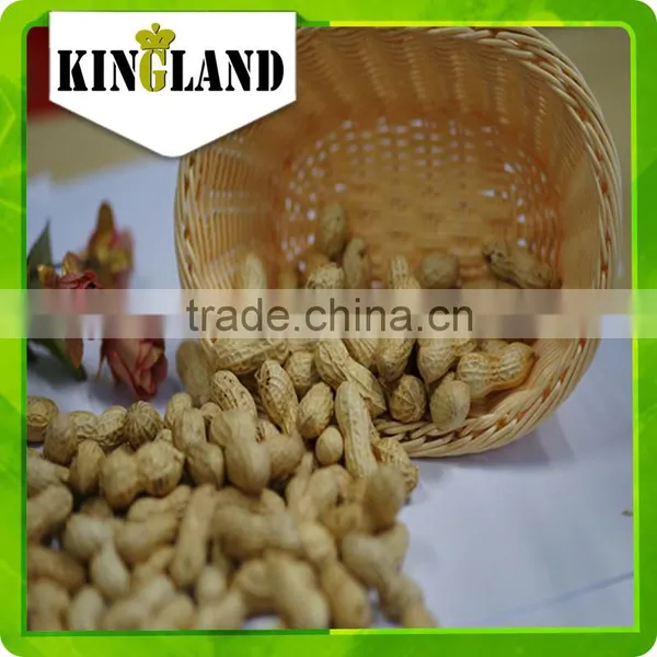 Peanut in Shell Processing photo-4