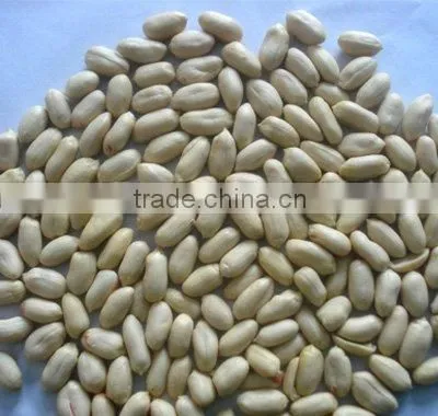 Blanched Peanuts