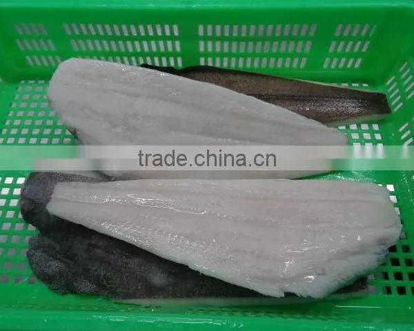 Wholesale Frozen Greenland Halibut Fish Fillet For Sale photo-3