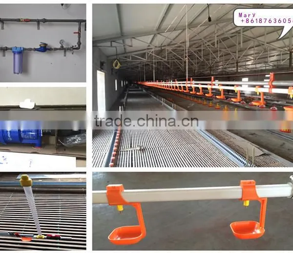 Best Quality Poultry Chain Feeding System for Chicken House Equipment photo-6
