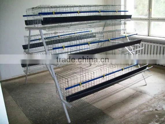 Laying Chicken Cage