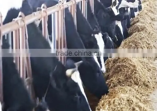 Honorsun New Brand RM Model Big TMR Feed Mixer/vertical Feed Mixer China photo-4