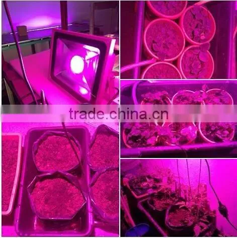 2017 Led Grow Light Cob Full Spectrum 100 Watt Led Grow Light Floodlight photo-6
