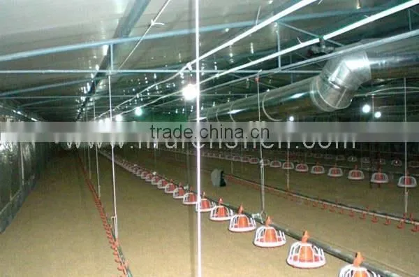 125x21x2.5m Light Steel Structure Chicken House in Middle East photo-3