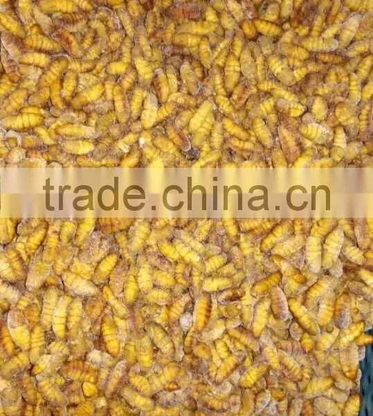 Popular Seafood in Thailand Frozen Silkworm Chrysalis photo-3