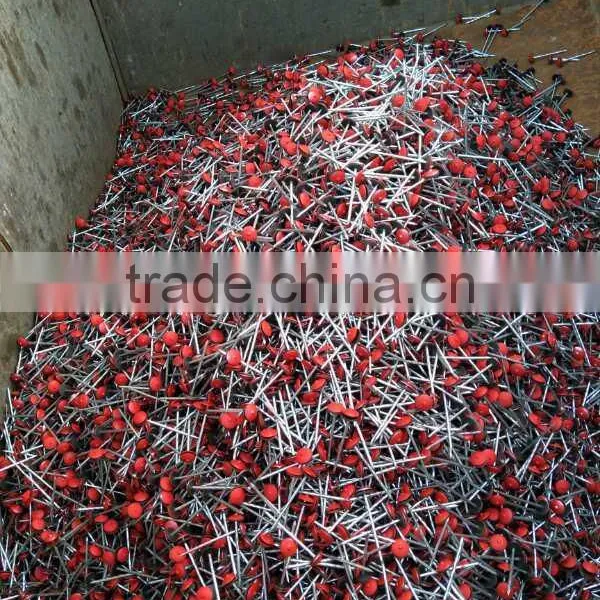 Color Painted Galvanized Roofing Nails photo-2