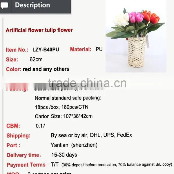Colorful Wholesale Cheap Tulip Flower for Decoration photo-2