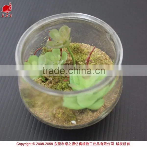 Mini Artificial Succulent Plants in Glass Bowl Potted Mini Succulents photo-2