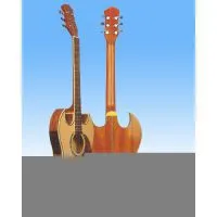 Sell Acoustic Guitars
