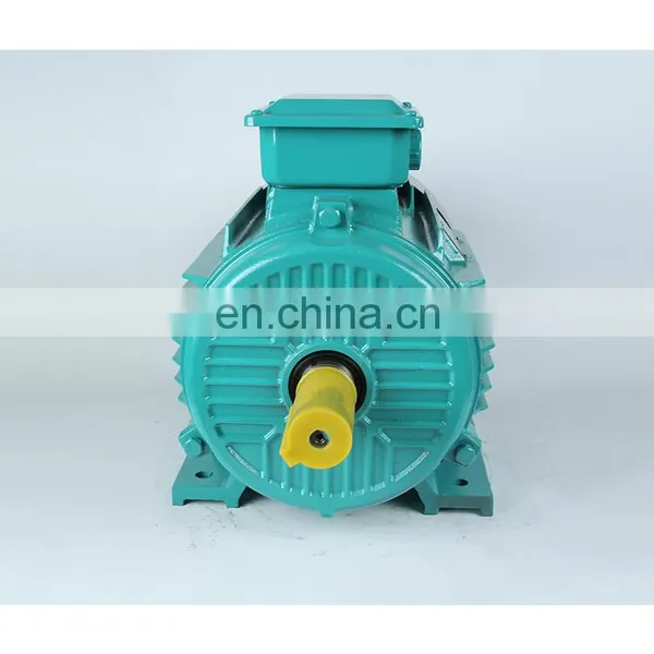 0.75-315kw 80M1-355L2 YE2 6 Poles 950rpm 3 Phase Asynchronous AC Induction Motor for Crusher photo-5