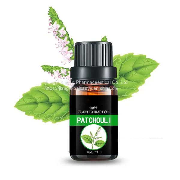 Food and Medicine Grade Patchouli Oil Chinese Medicinal Oil Plant Essential Oil Massage Oil photo-5