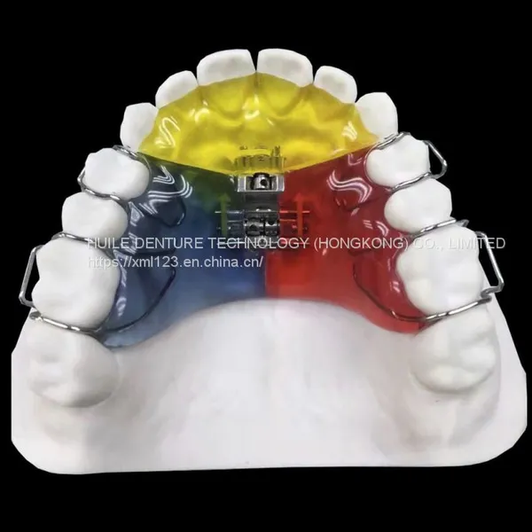 Dental Lab in Shenzhen Dental Lab Manufacturer China photo-3