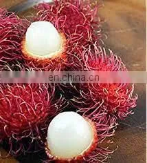 Shanghai Electric Rambutan Peeler Machine photo-4