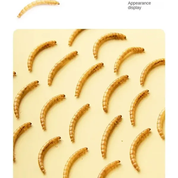 Dried Mealworms&Black Soldier Fly photo-2