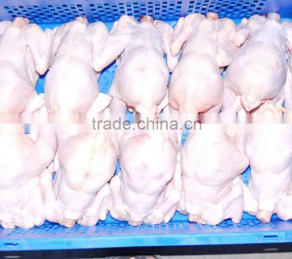 Chicken Griller photo-4