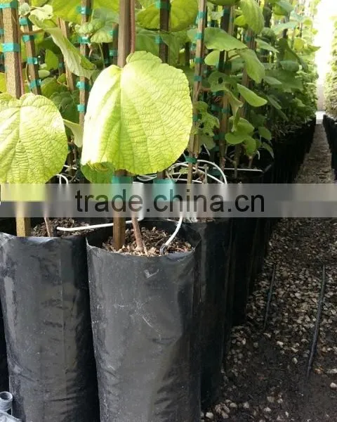 Tree Planting Needle Punch Sleeve Growing Bags