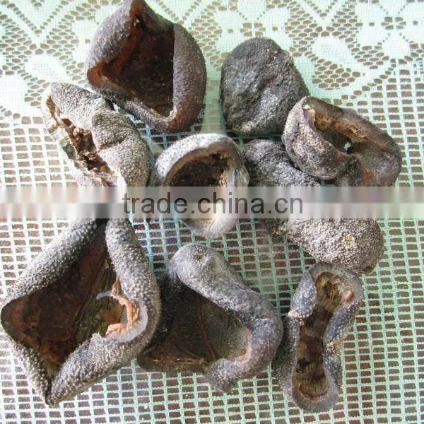 Coconut Sea Cucumber