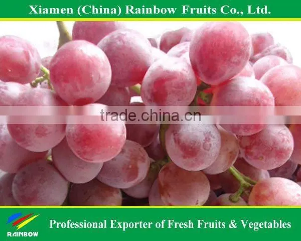 Global Grpaes/fresh Grapes Price photo-3
