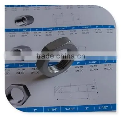 1/2" NPT Taper thread lock nut cast stainless steel 316 in 150lb rating