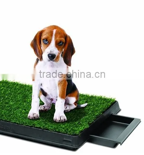 2016 Pet Potty photo-3