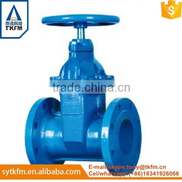 TKFM Water Supply 304 Stainless Steel Flange Gate Valve Pn16 photo-3