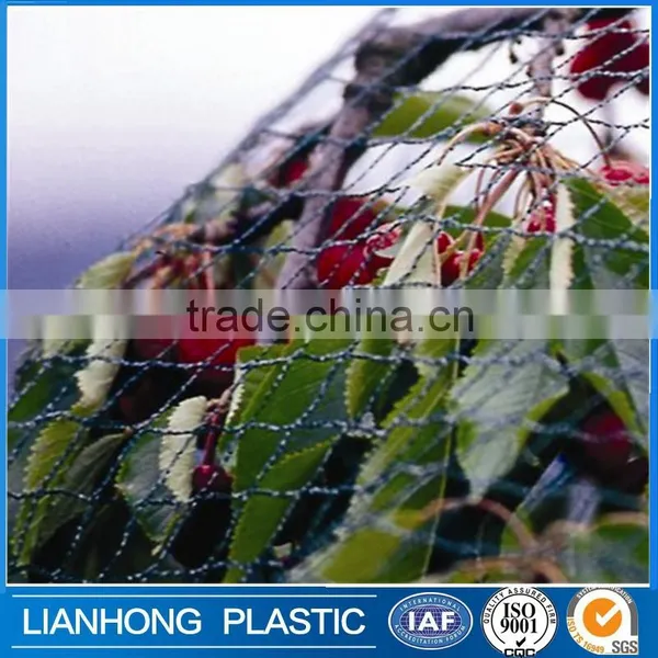 Bird Netting for Fruit Trees Treated With UV With Original HDPE Plastic Netting, Commercial Plastic Knitted Mesh Anti Bird Net photo-4