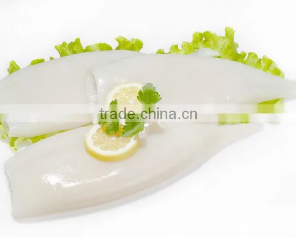 Illex Frozen Squid Tube IQF Factory